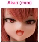 Akari(mini)