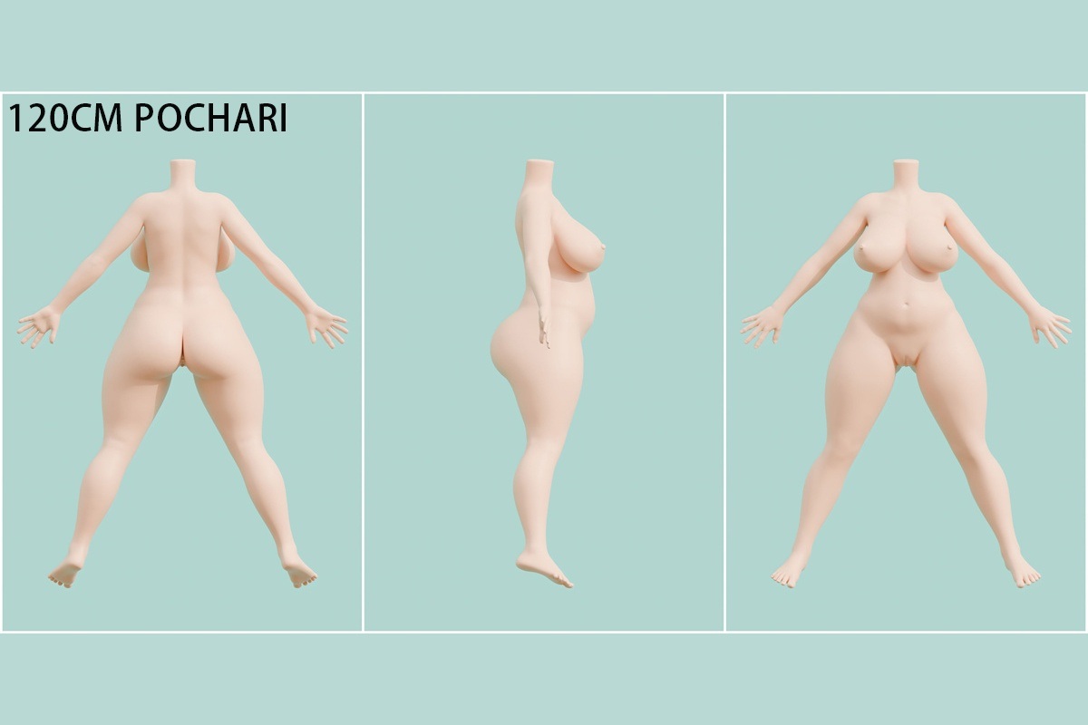 ボディの一覧表 画像11