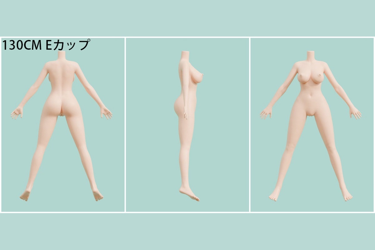 ボディの一覧表 画像14