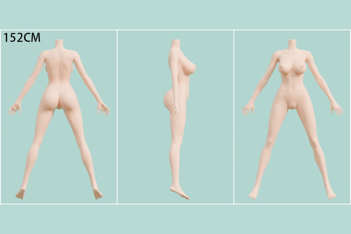 ボディの一覧表 画像19