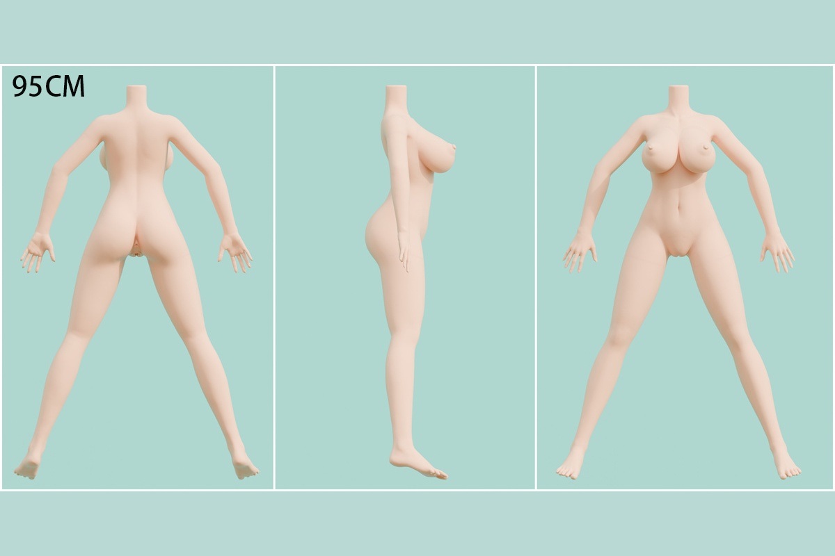 ボディの一覧表 画像3