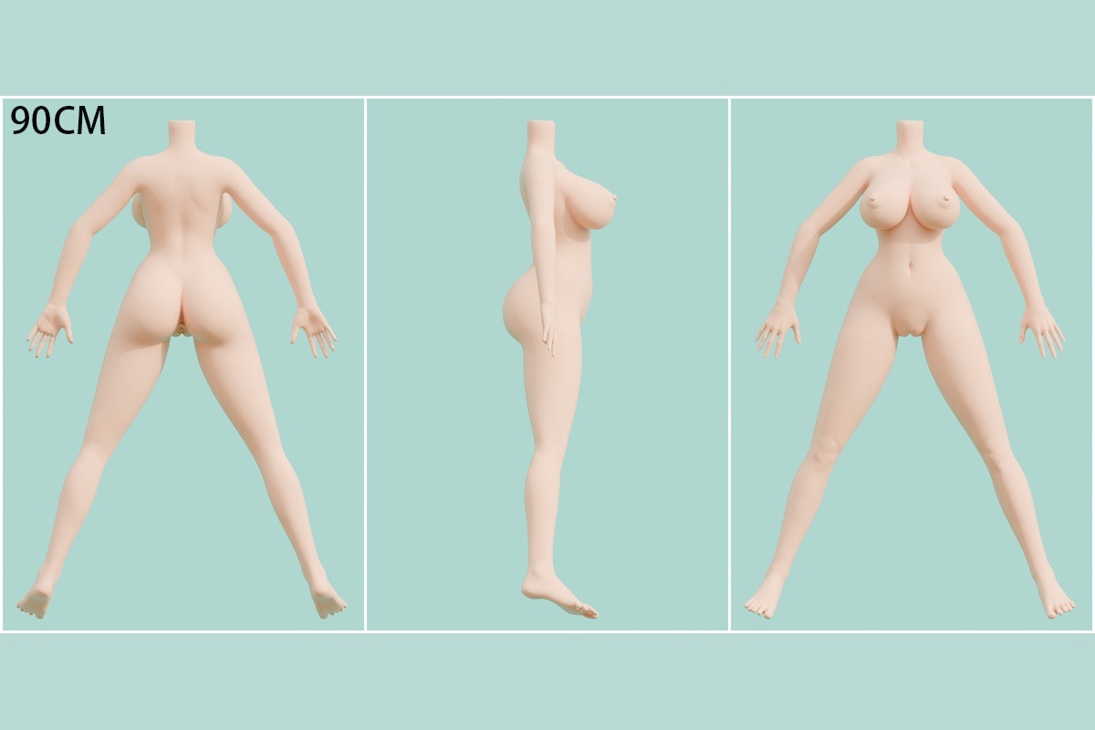 ボディの一覧表 画像2