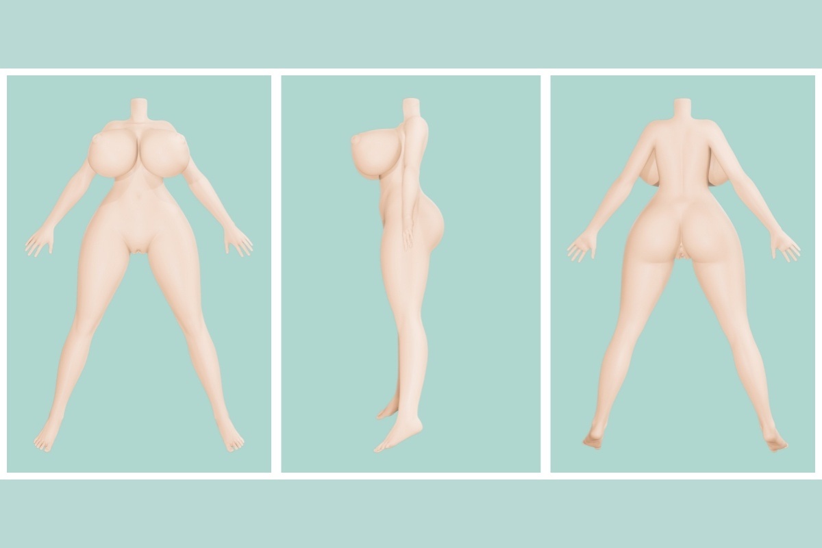 ボディの一覧表 画像15