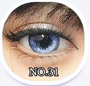NO.31