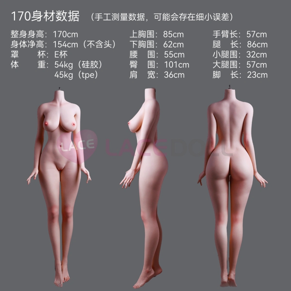 LACEDOLL一覧（家族・オプション） 画像18