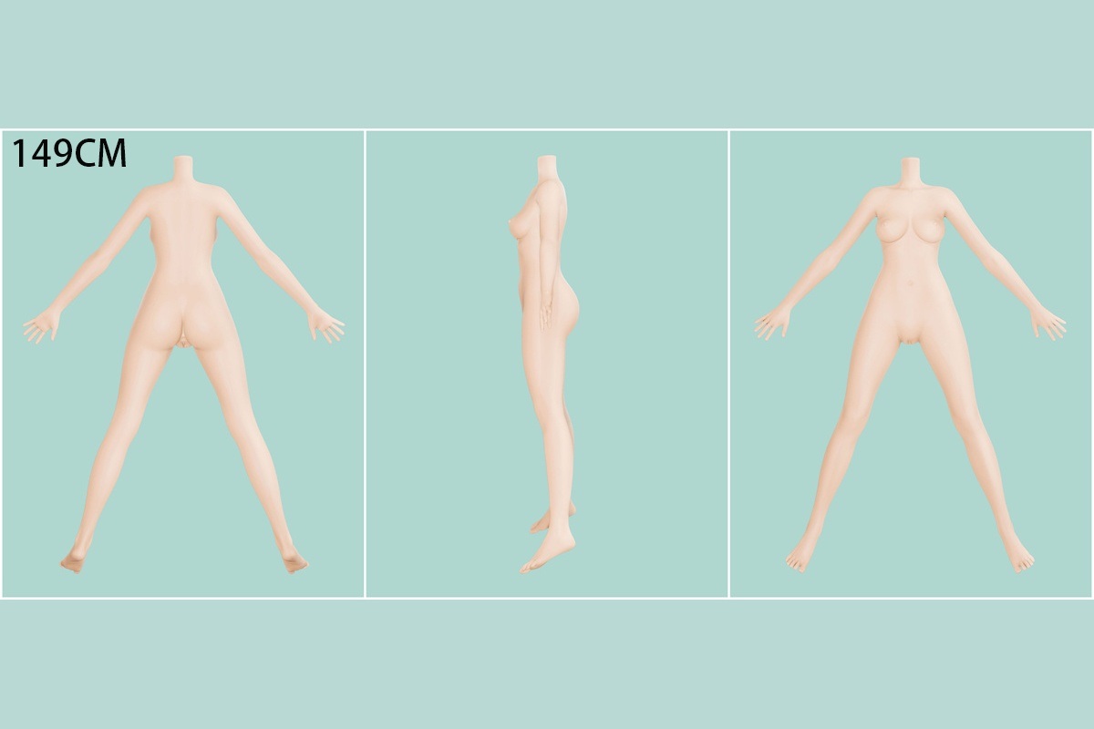 ボディの一覧表 画像17