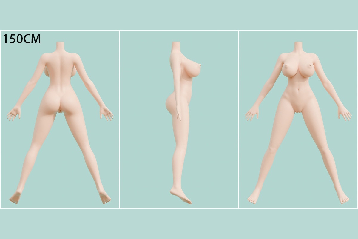 ボディの一覧表 画像18