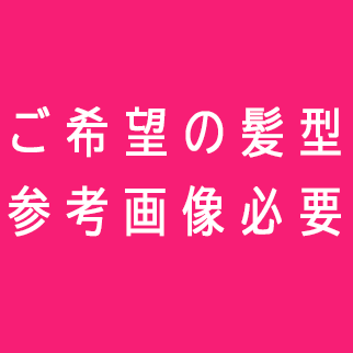 ご希望の髪型・髪色で植毛加工（参考画像をご提供ください） ※ご希望に沿えない場合もございますので、あらかじめご了承ください。