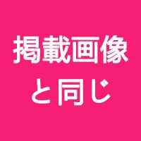 掲載画像と同じヘッド