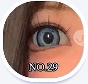 オーダーメイド眼球NO.29