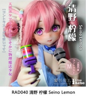 ElsaBabe 151cm RAD045ヘッド ヘッド RAD040