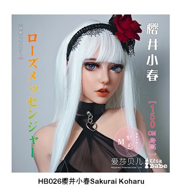 ElsaBabe 151cm RAD045ヘッド ヘッド HB026