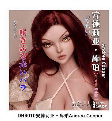 ElsaBabe 151cm RAD045ヘッド ヘッド DHR010
