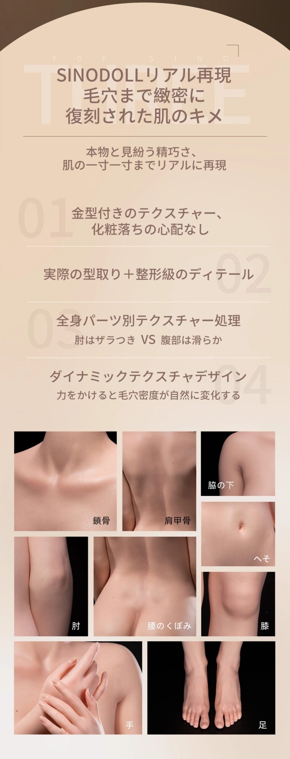 TOPSINO 149cm Fカップ T50ヘッド 商品詳細 画像6