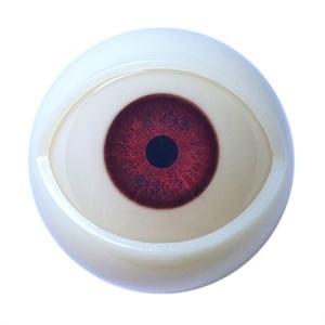 MD DOLL 85cm Kカップ トルソー M73ヘッド 眼球カラー #1