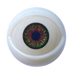 MD DOLL 85cm Kカップ トルソー M73ヘッド 眼球カラー #5
