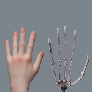 KiraDols 150cm Aカップ D3ヘッド アニメドール 指の関節 骨格指関節