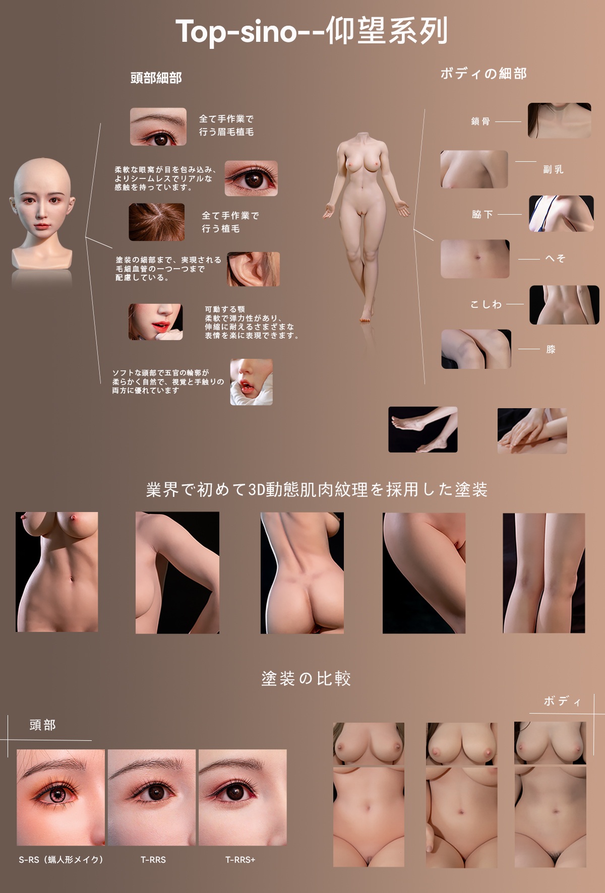 TOPSINO Eカップ RRSヘッド 商品詳細