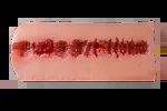 sino doll 専用ラブドールの着脱ホール 分体式オナホール Sinodoll/GDSINO/Topsino 兼用 ヴァギナ内部構造 #2標準お姉型（通常）