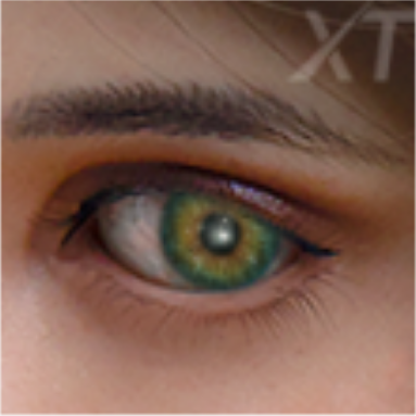 XTDOLL ヘッド単品 シリコン製頭 等身大リアルラブドール M16ボルト 目の色 エメラルドグリーン（Emerald Green）