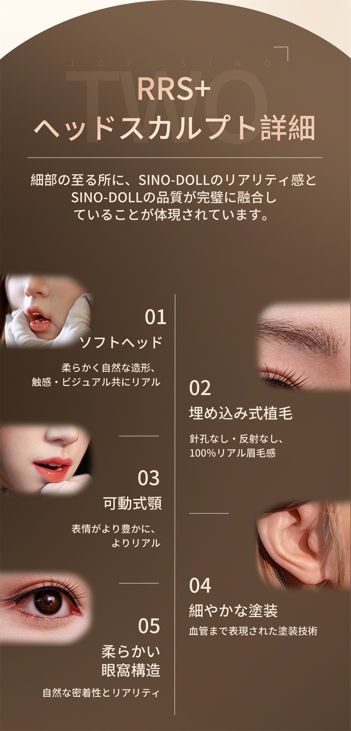 TOPSINO 165cm Dカップ T48Bヘッド 商品詳細 画像11