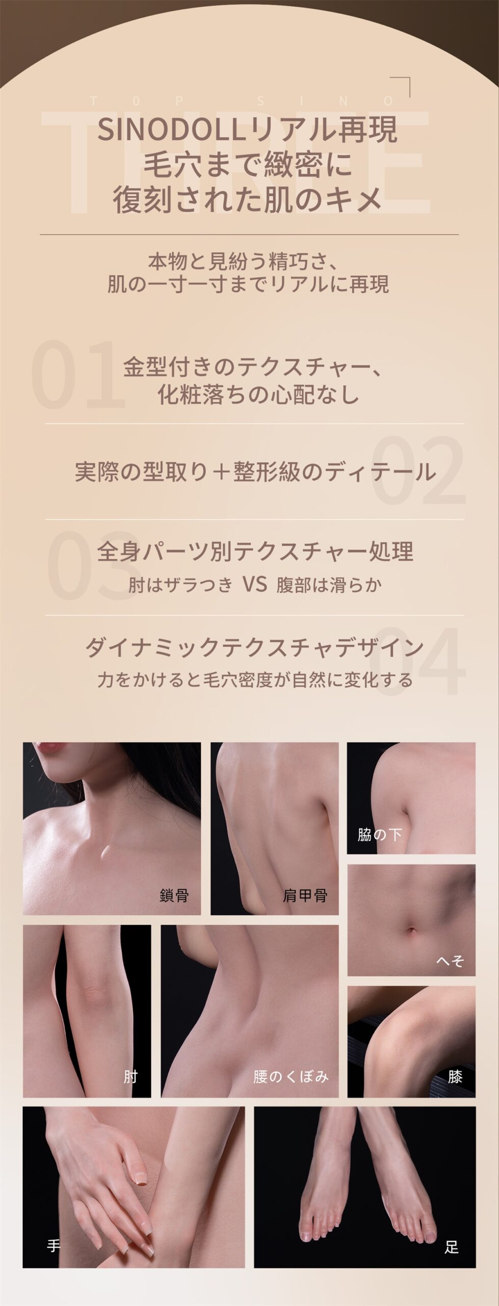 TOPSINO 165cm Eカップ T48ヘッド 商品詳細 画像21