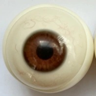 Jiusheng Doll 126cm Cカップ Karinヘッド 目の色 大規格ヘッド（＃60＃76B＃42）専用ブラウン眼球