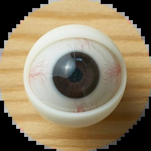 Jiusheng Doll 126cm Cカップ Karinヘッド 目の色 ＃１０