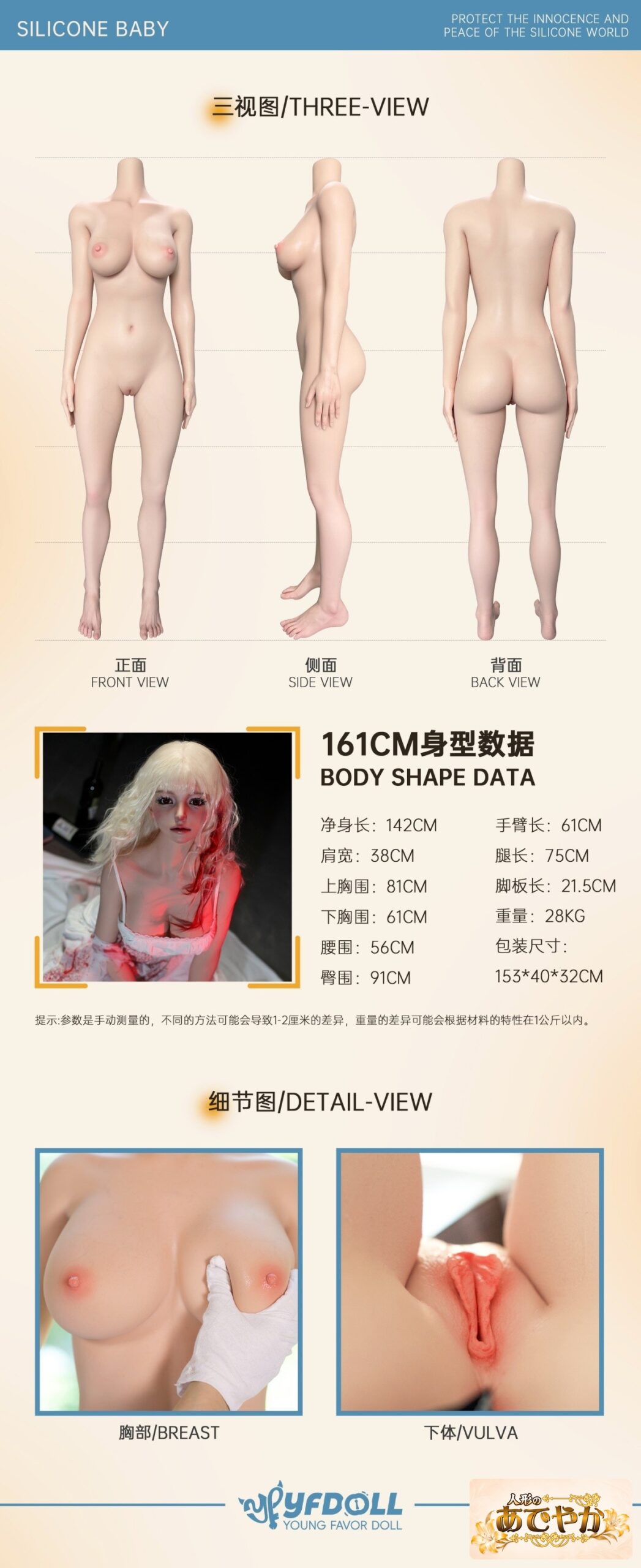 YFDOLL 166cm Fカップ 银杏（yinxing）ヘッド ボディ三視図とサイズ一覧 画像11