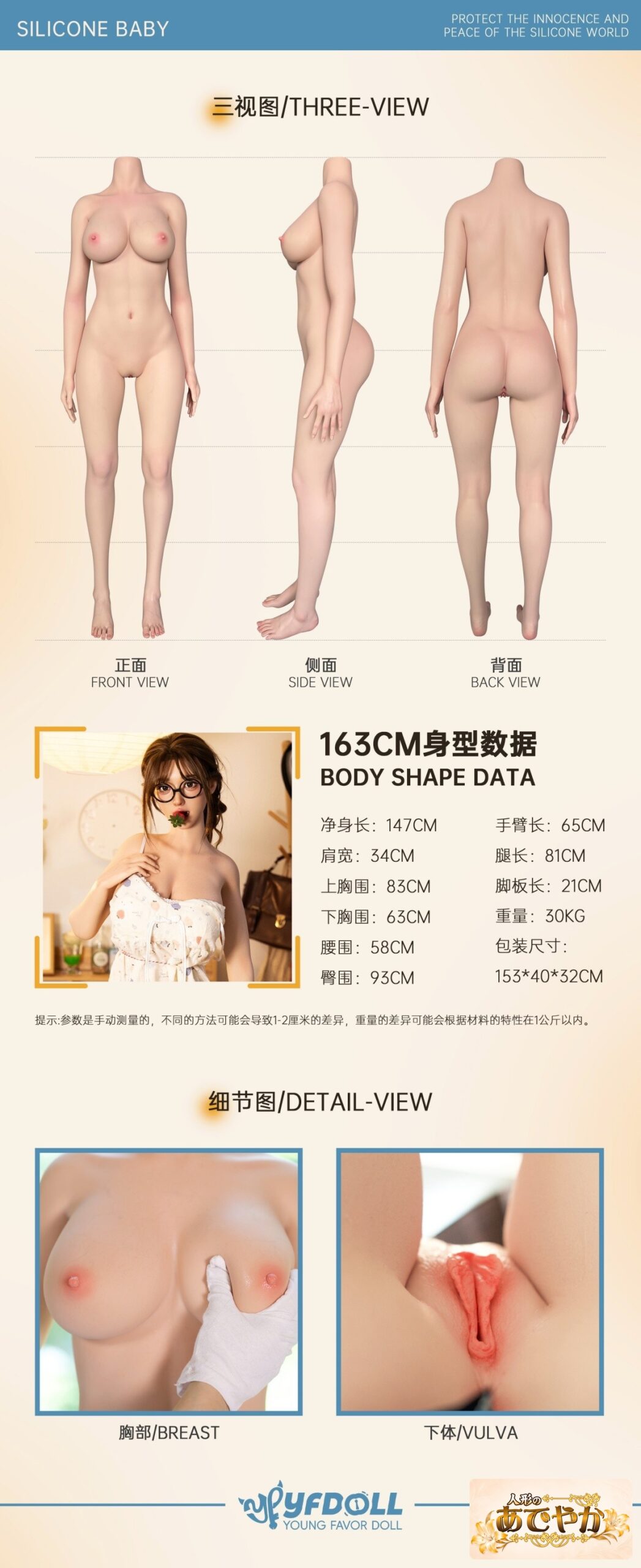 YFDOLL 166cm Fカップ 银杏（yinxing）ヘッド ボディ三視図とサイズ一覧 画像13