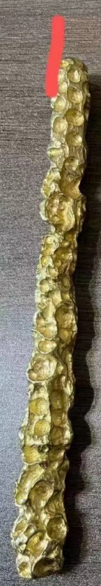 YFDOLL 166cm Fカップ 银杏（yinxing）ヘッド ヴァギナの構造 ＃1構造深さ18cm