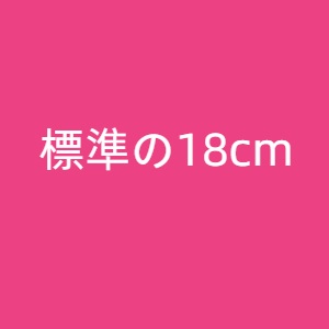 蛍火日記 MAXシリーズボディ単体 フルシリコン等身大リアルラブドール ヴァギナ深さ 標準の18cm