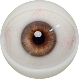 FANREAL 108cm Fカップ トルソー Mariaヘッド 目の色 #3