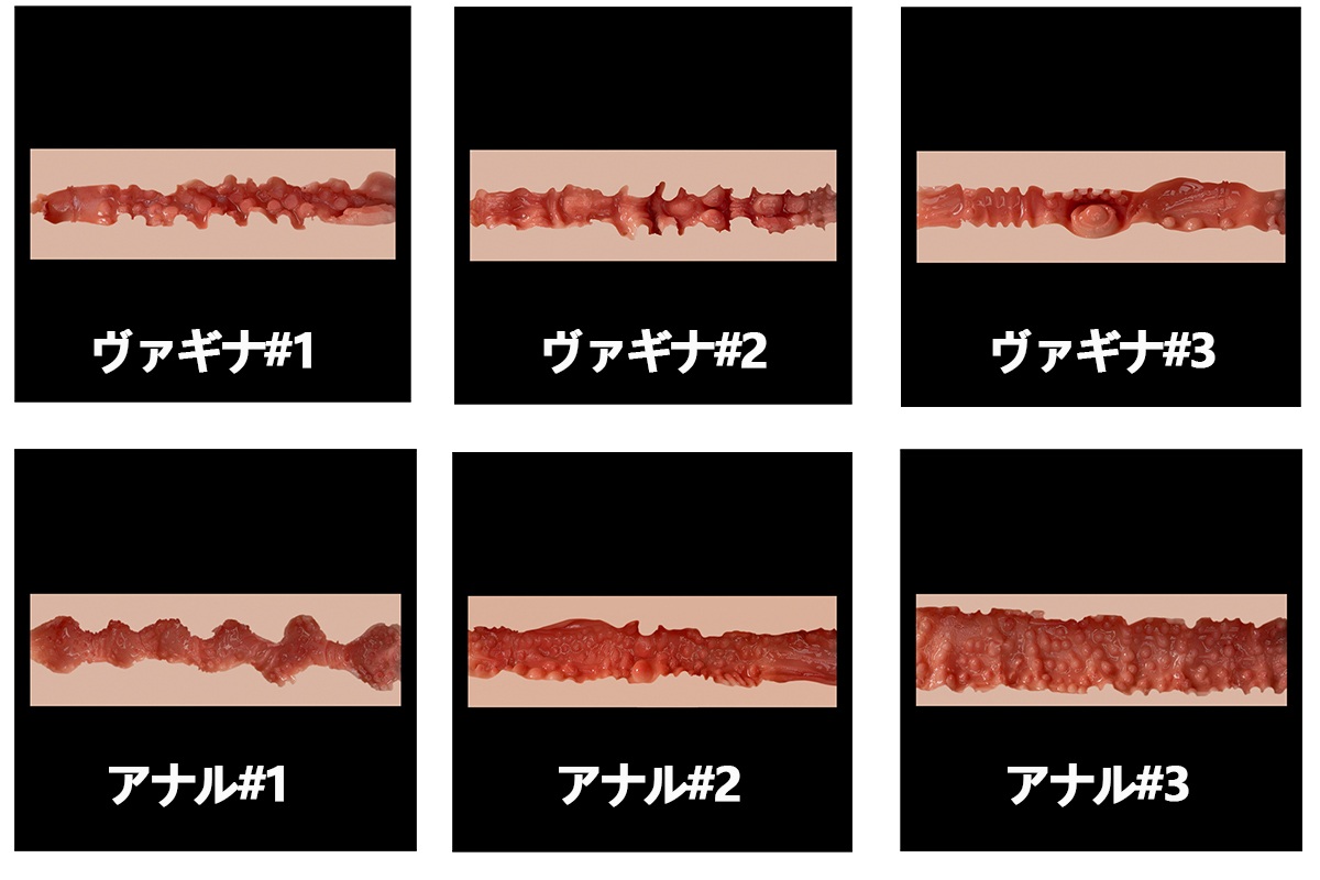 ZELEX 168cm Bカップ ZFE03ヘッド オプション画像 画像10