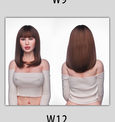 IRONTECHDOLL 161cm Aカップ A6ヘッド oriental東方シリーズ ウィッグ W12