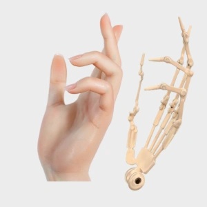 Doll Senior 158cm Kカップ 槑（mei）ヘッド 指の関節 最新技術の骨格関節