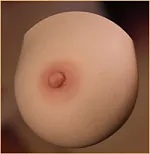 AJLDOLL 155cm Fカップ Lunaヘッド 乳輪カラー #1