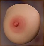 AJLDOLL 155cm Fカップ Lunaヘッド 乳輪カラー #3