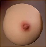 AJLDOLL 155cm Fカップ Lunaヘッド 乳輪カラー #2